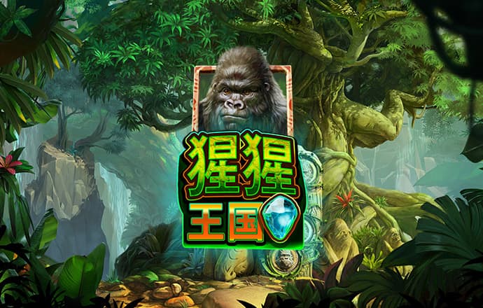 pg模拟器.cc中文版